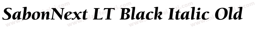 SabonNext LT Black Italic Old Style字体转换